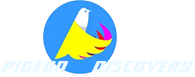 Pigeon Discovery